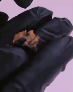 Иллюстрация 2