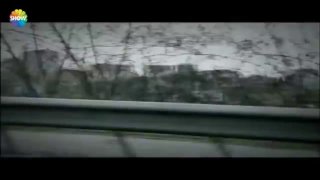 Иллюстрация 1