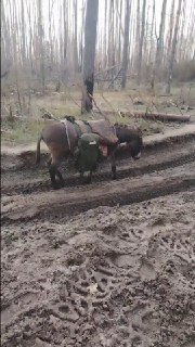 Иллюстрация 2