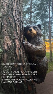 В Приморском парке появились медведи