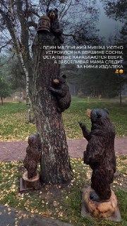 Иллюстрация 2