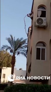 Иллюстрация 2