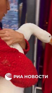 В Москве откроется новогодняя резиденция Деда Мороза