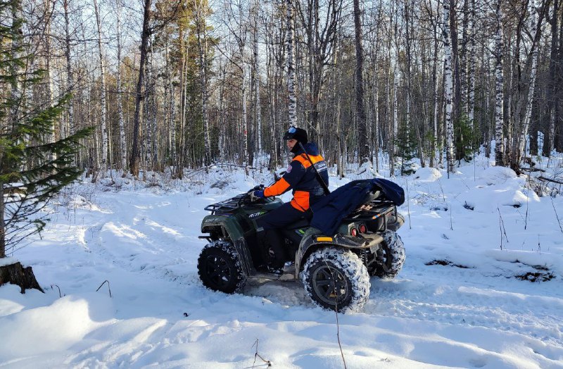 Возобновлены поиски семьи Усольцевых в красноярской тайге