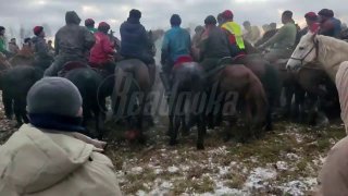 Мигрантские игры с тушами животных продолжаются в Раменском округе