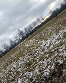 Иллюстрация 2