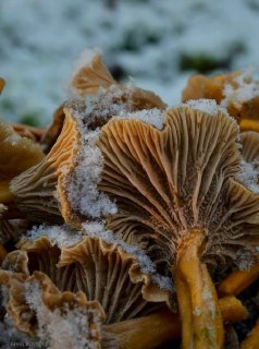 Иллюстрация 2