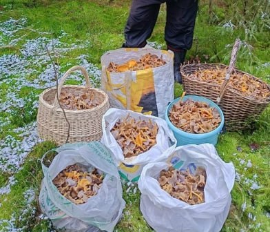 Иллюстрация 3