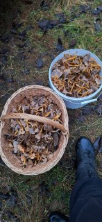 Иллюстрация 4