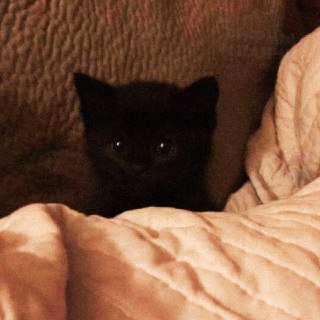 Иллюстрация 2