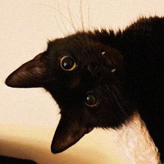 Иллюстрация 3