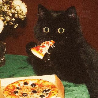 Иллюстрация 4