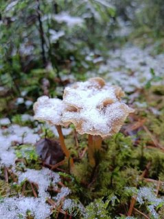 Иллюстрация 2