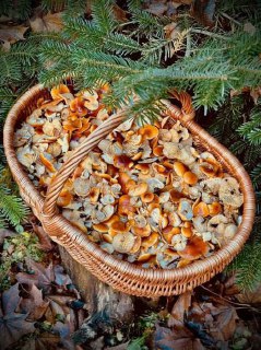 Иллюстрация 3