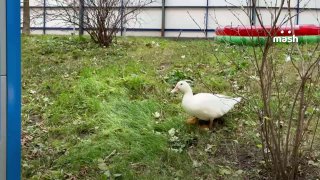 Иллюстрация 2