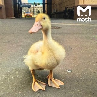 Иллюстрация 3