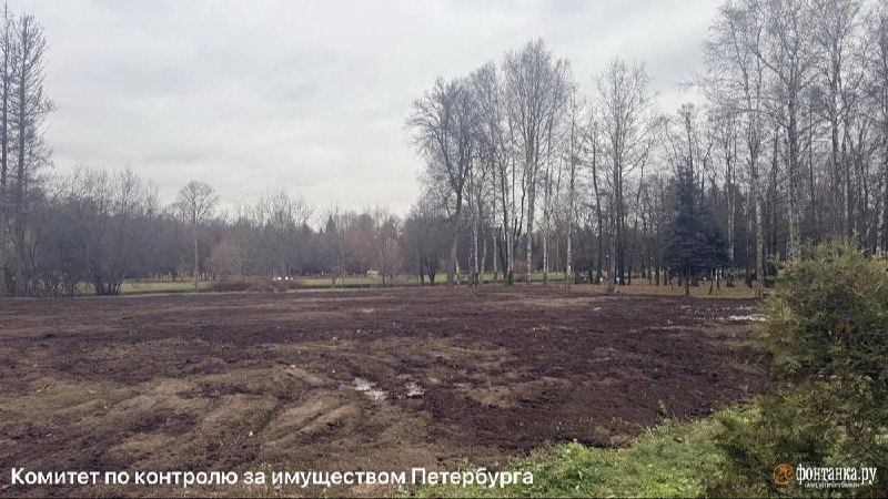 В Петербурге снесли сгоревший Sport Palace