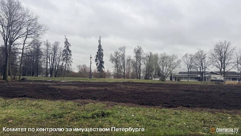 Иллюстрация 2