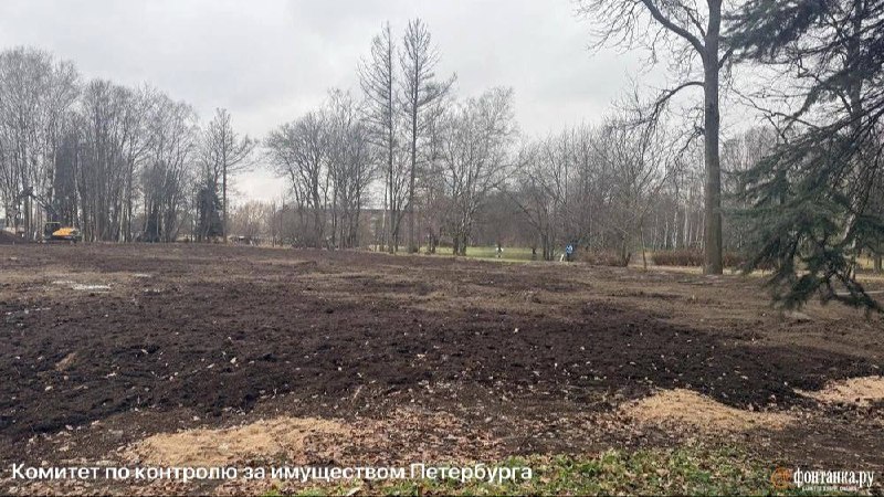 Иллюстрация 3