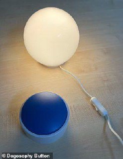 Иллюстрация 2