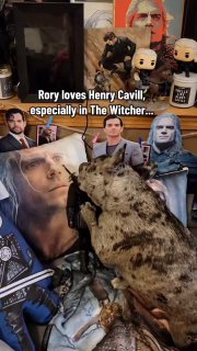 Собака-фанат «Ведьмака» расстроена рекастингом