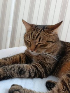 Иллюстрация 2