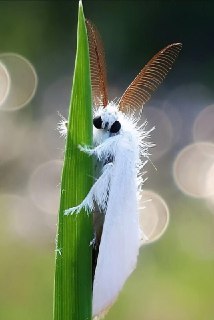 Иллюстрация 2