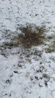 В Москве ищут вандала, устраивающего взрывы и пачкающего подъезды