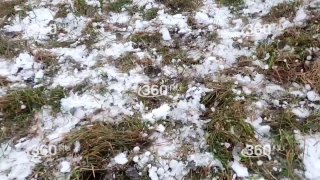 В Раменском прошли состязания по кок-бору