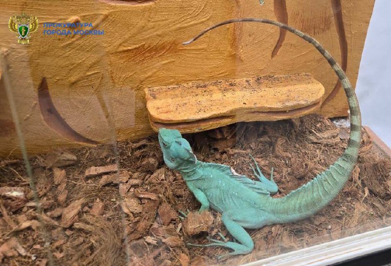 В Москве изъяли экзотических животных у частного лица