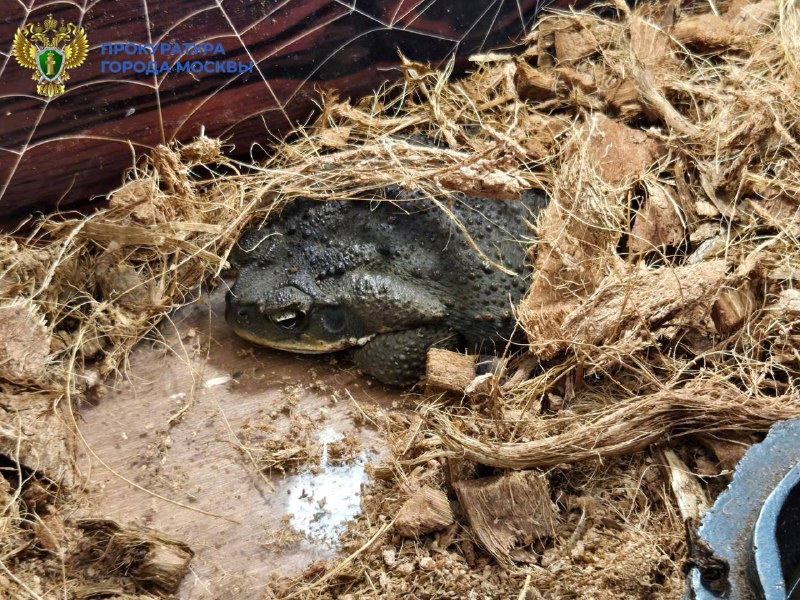 Иллюстрация 2