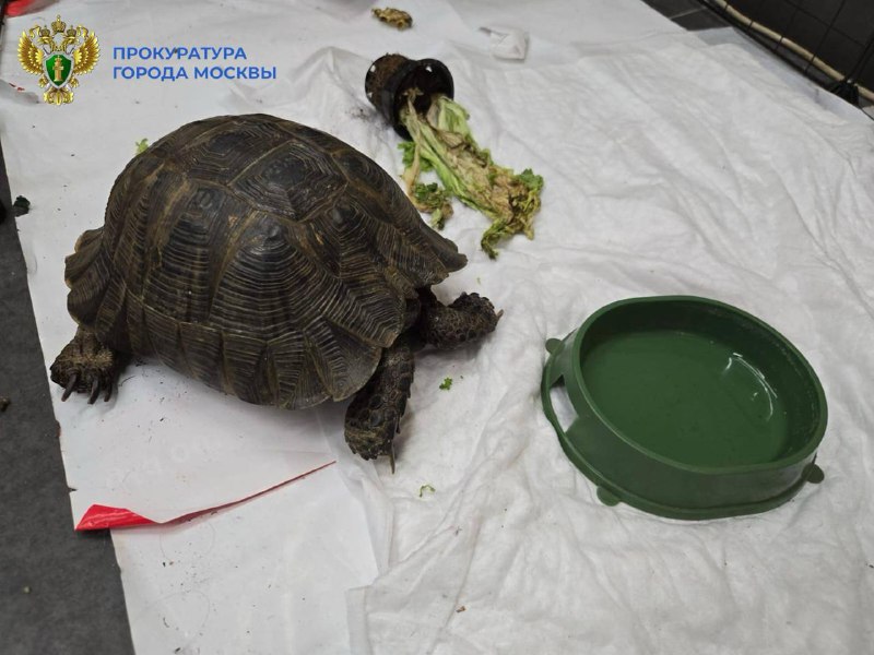 Иллюстрация 3