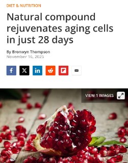 Продукты, замедляющие старение: ученые назвали секретный ингредиент