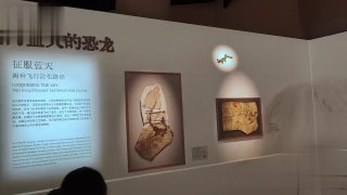 В Шанхае запустили 3D-голограммы динозавров