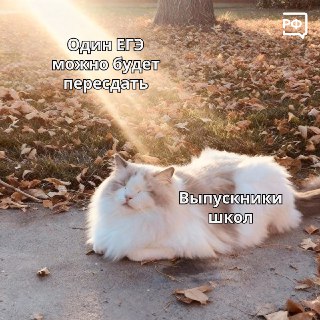 ЕГЭ по русскому языку не будет разделен на уровни