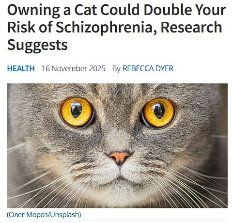 Владельцы кошек подвержены повышенному риску шизофрении