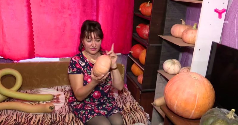 Тюменка вырастила рекордное количество тыкв