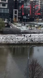 В Петербурге прохожие спасли девочку из канала