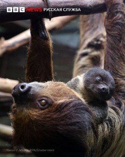 Иллюстрация 2