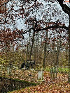 Иллюстрация 2