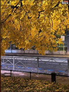 Иллюстрация 4