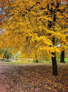 Иллюстрация 5