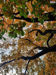 Иллюстрация 6