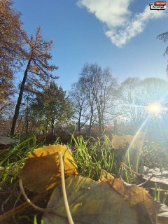 Иллюстрация 7