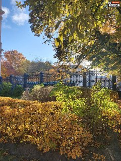 Иллюстрация 8