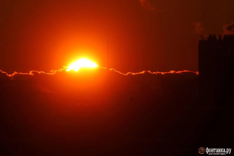 Иллюстрация 2