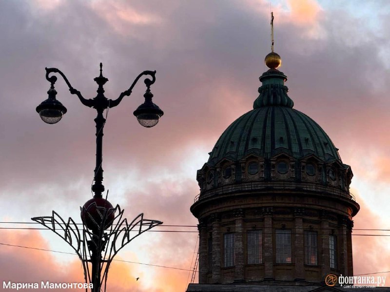 Иллюстрация 2