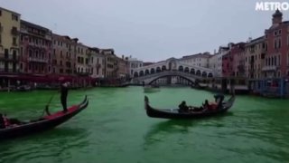 Экоактивисты вылили краситель в Гранд-канал Венеции