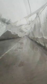 Иллюстрация 2