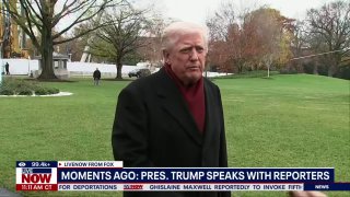 Сатирический взгляд на отношения Трампа и Зеленского